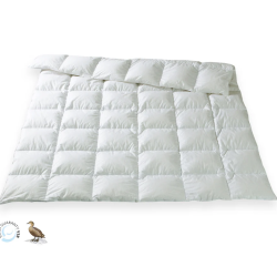 CINELLI Piume & Piumini  -  INTERNO PIUMINO  100% EDREDONE